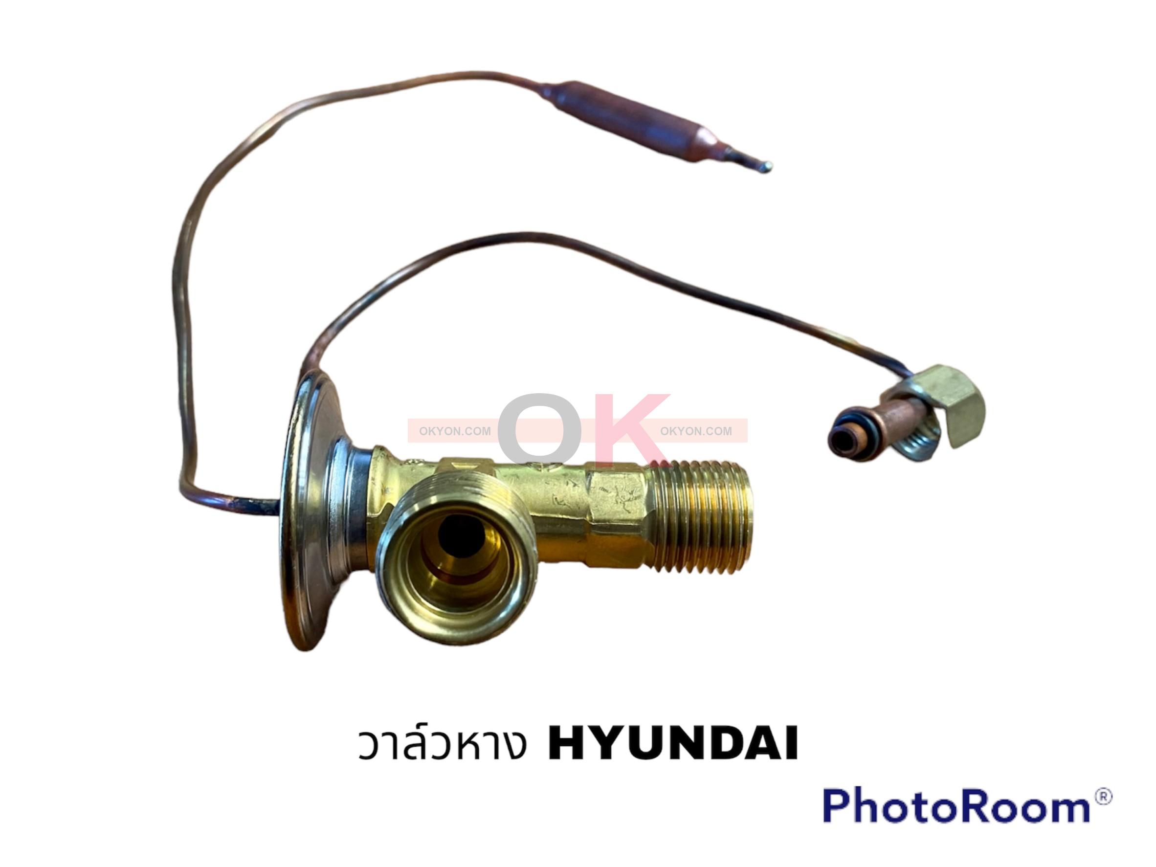 วาล์วหาง HYUNDAI BLUEBIRD 2หาง